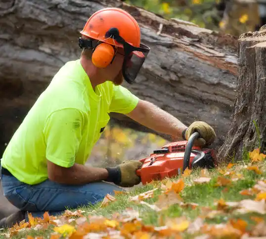 tree services Beaver City